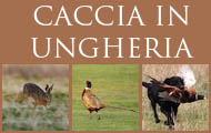 Caccia in Ungheria